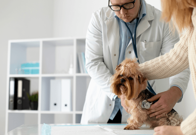 Preventative Care & Wellness